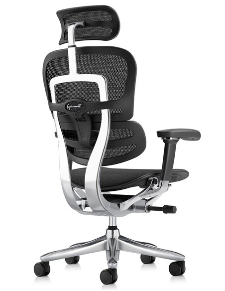 Кресло ERGOHUMAN LUXURY SE (EHSE-AB-HAM-5D-ST-D, сетка W945-01Black), эргономичное