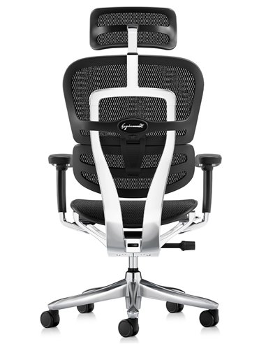 Кресло ERGOHUMAN LUXURY SE (EHSE-AB-HAM-5D-ST-D, сетка W945-01Black), эргономичное