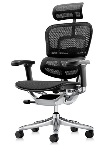 Кресло ERGOHUMAN LUXURY SE (EHSE-AB-HAM-5D-ST-D, сетка W945-01Black), эргономичное