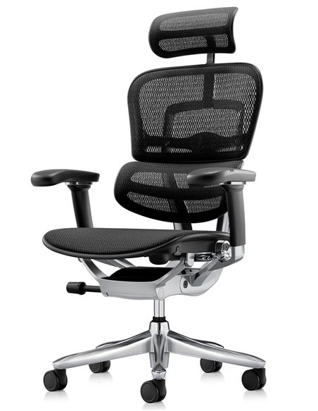 Кресло ERGOHUMAN LUXURY SE (EHSE-AB-HAM-5D-ST-D, сетка W945-01Black), эргономичное
