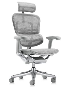 Кресло ERGOHUMAN LUXURY SE (EHSE-AB-HAM-5D-ST-D, сетка W945-24 White), эргономичное