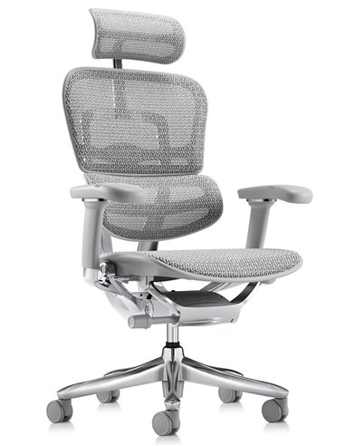 Кресло ERGOHUMAN LUXURY SE (EHSE-AB-HAM-5D-ST-D, сетка W945-24 White), эргономичное
