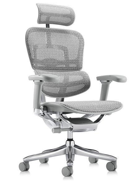 Кресло ERGOHUMAN LUXURY SE (EHSE-AB-HAM-5D-ST-D, сетка W945-24 White), эргономичное