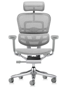 Кресло ERGOHUMAN LUXURY SE (EHSE-AB-HAM-5D-ST-D, сетка W945-24 White), эргономичное 2