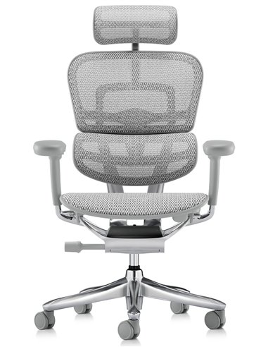 Кресло ERGOHUMAN LUXURY SE (EHSE-AB-HAM-5D-ST-D, сетка W945-24 White), эргономичное