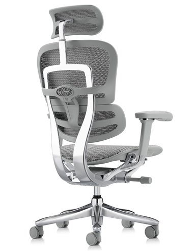 Кресло ERGOHUMAN LUXURY SE (EHSE-AB-HAM-5D-ST-D, сетка W945-24 White), эргономичное