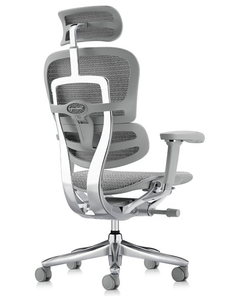 Кресло ERGOHUMAN LUXURY SE (EHSE-AB-HAM-5D-ST-D, сетка W945-24 White), эргономичное