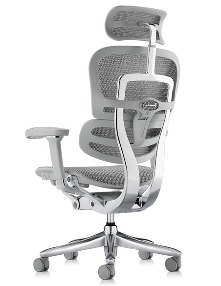 Кресло ERGOHUMAN LUXURY SE (EHSE-AB-HAM-5D-ST-D, сетка W945-24 White), эргономичное
