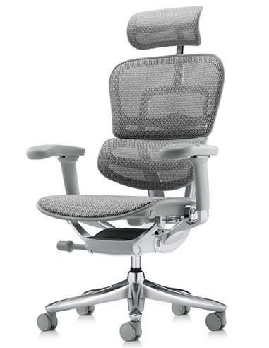 Кресло ERGOHUMAN LUXURY SE (EHSE-AB-HAM-5D-ST-D, сетка W945-24 White), эргономичное
