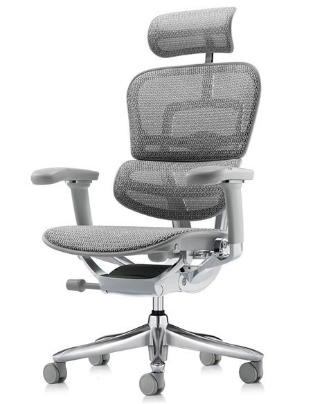 Кресло ERGOHUMAN LUXURY SE (EHSE-AB-HAM-5D-ST-D, сетка W945-24 White), эргономичное