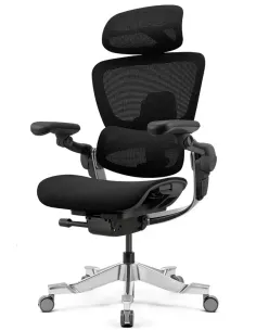 Fotoliu HINOMI H2 PRO COAL BLACK, ergonomic - Cumpara online la KRESLALUX Chisinau