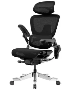 Кресло HINOMI H2 PRO COAL BLACK, эргономичное - купить онлайн на KRESLALUX Молдова 2