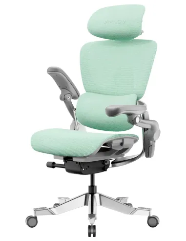 Fotoliu HINOMI H2 PRO MINT, ergonomic - Cumpara in magazinul online KRESLALUX Moldova