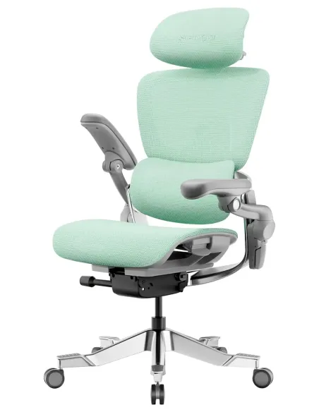 Fotoliu HINOMI H2 PRO MINT, ergonomic - Cumpara in magazinul online KRESLALUX Moldova