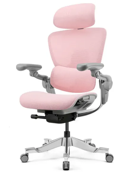 Кресло HINOMI H2 PRO MIST PINK, эргономичное -  купить онлайн на KRESLALUX Молдова