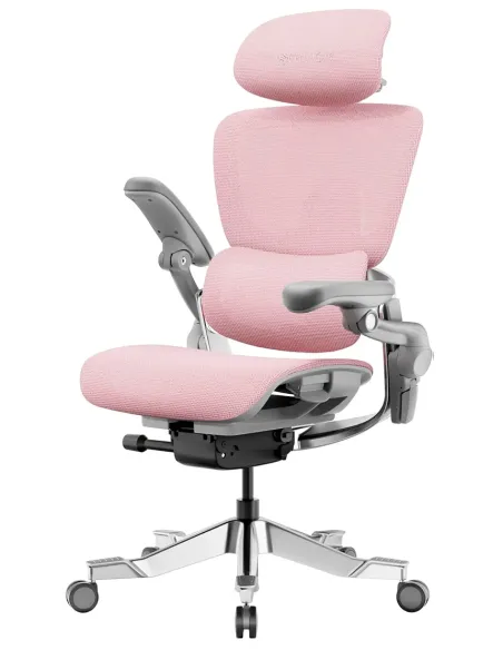 Кресло HINOMI H2 PRO MIST PINK, эргономичное -  купить онлайн на KRESLALUX Молдова