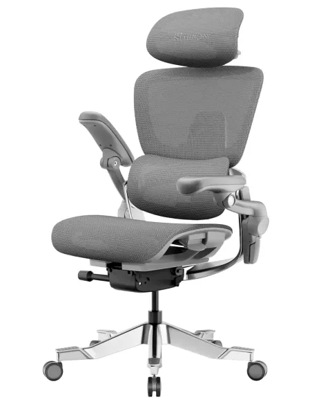 Fotoliu HINOMI H2 PRO MOON GREY, ergonomic - Cumpara in magazinul online KRESLALUX Moldova