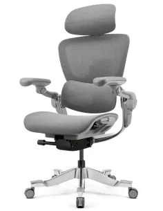 Fotoliu HINOMI H2 PRO MOON GREY, ergonomic - Cumpara in magazinul online KRESLALUX Moldova