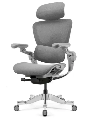 Fotoliu HINOMI H2 PRO MOON GREY, ergonomic - Cumpara in magazinul online KRESLALUX Moldova