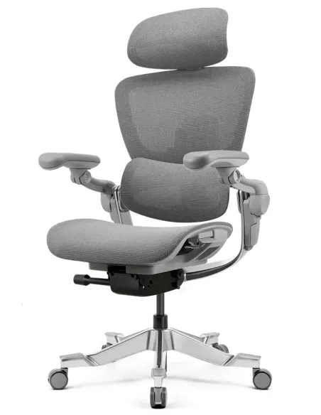 Fotoliu HINOMI H2 PRO MOON GREY, ergonomic - Cumpara in magazinul online KRESLALUX Moldova