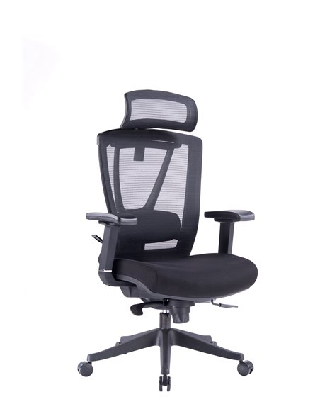 Кресло ERGO CHAIR 2 BLACK эргономичное