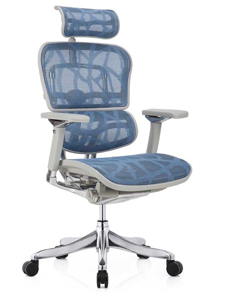 Кресло ERGOHUMAN PLUS LUXURY (EHPL-AG-HAM, ZB5) эргономичное