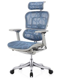 Кресло ERGOHUMAN PLUS LUXURY (EHPL-AG-HAM, ZB5) эргономичное 2