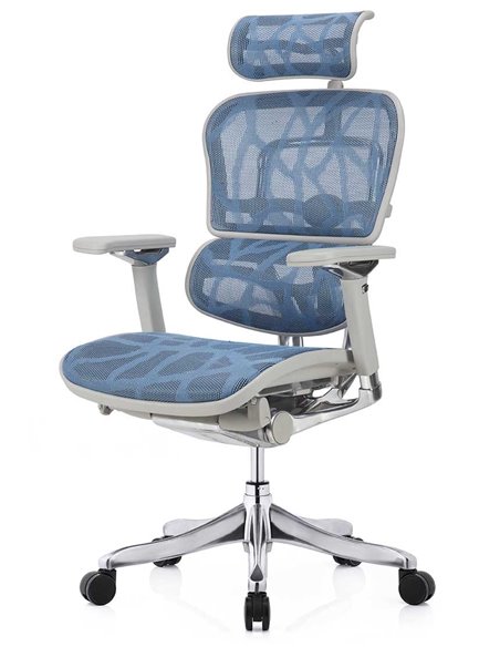 Кресло ERGOHUMAN PLUS LUXURY (EHPL-AG-HAM, ZB5) эргономичное