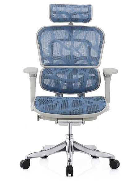 Кресло ERGOHUMAN PLUS LUXURY (EHPL-AG-HAM, ZB5) эргономичное