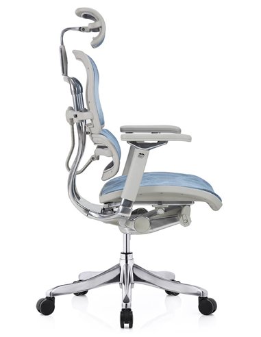 Кресло ERGOHUMAN PLUS LUXURY (EHPL-AG-HAM, ZB5) эргономичное