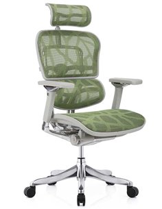 Кресло ERGOHUMAN PLUS LUXURY (EHPL-AG-HAM, ZB3) эргономичное