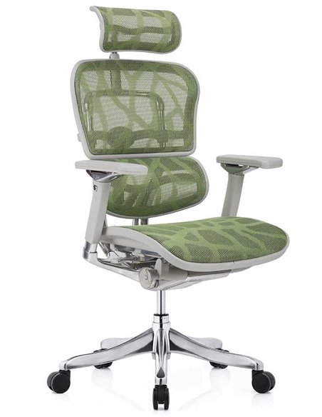 Кресло ERGOHUMAN PLUS LUXURY (EHPL-AG-HAM, ZB3) эргономичное