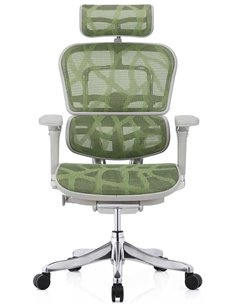 Кресло ERGOHUMAN PLUS LUXURY (EHPL-AG-HAM, ZB3) эргономичное 2