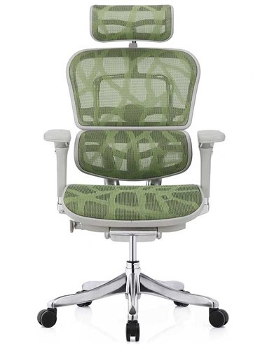 Кресло ERGOHUMAN PLUS LUXURY (EHPL-AG-HAM, ZB3) эргономичное
