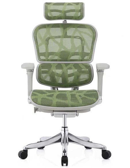 Кресло ERGOHUMAN PLUS LUXURY (EHPL-AG-HAM, ZB3) эргономичное