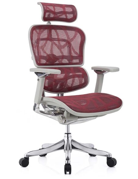 Кресло ERGOHUMAN PLUS LUXURY (EHPL-AG-HAM ZB6) эргономичное