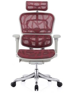 Кресло ERGOHUMAN PLUS LUXURY (EHPL-AG-HAM ZB6) эргономичное 2