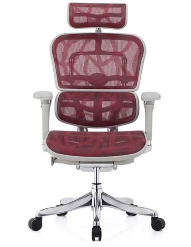 Кресло ERGOHUMAN PLUS LUXURY (EHPL-AG-HAM ZB6) эргономичное