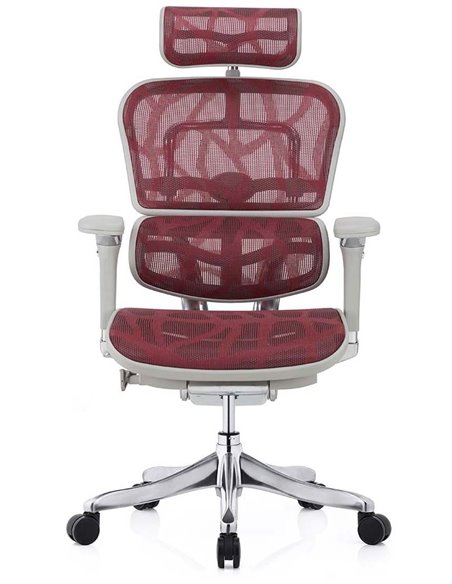 Кресло ERGOHUMAN PLUS LUXURY (EHPL-AG-HAM ZB6) эргономичное