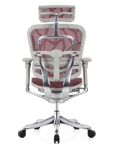 Кресло ERGOHUMAN PLUS LUXURY (EHPL-AG-HAM ZB6) эргономичное