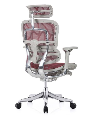 Кресло ERGOHUMAN PLUS LUXURY (EHPL-AG-HAM ZB6) эргономичное