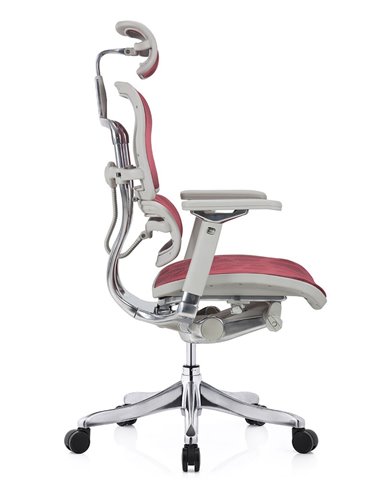 Кресло ERGOHUMAN PLUS LUXURY (EHPL-AG-HAM ZB6) эргономичное