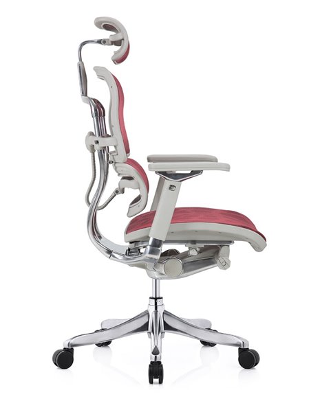 Кресло ERGOHUMAN PLUS LUXURY (EHPL-AG-HAM ZB6) эргономичное