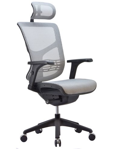 Кресло EXPERT VISTA (VSM01), эргономичное