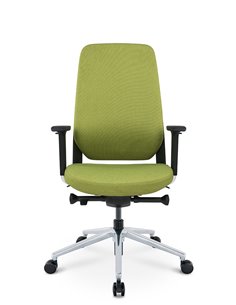 Кресло KRESLALUX FILO-B (Green + Green) эргономичное 2