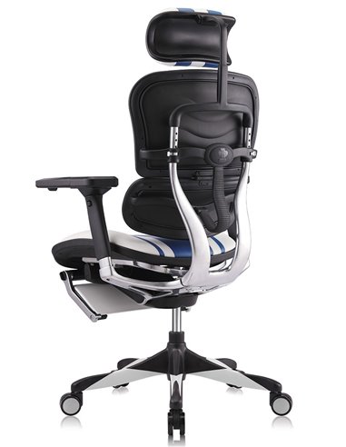 Кресло компьютерное ERGOHUMAN ELITE GAMING MARS (M-EHPE-AB-HAL-MLBL), эргономичное