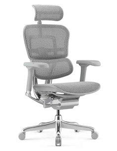 Кресло ERGOHUMAN ELITE 2 (EHE2-AG-HAM-5D-L, сетка T-168-B2 Natural), ергономичное