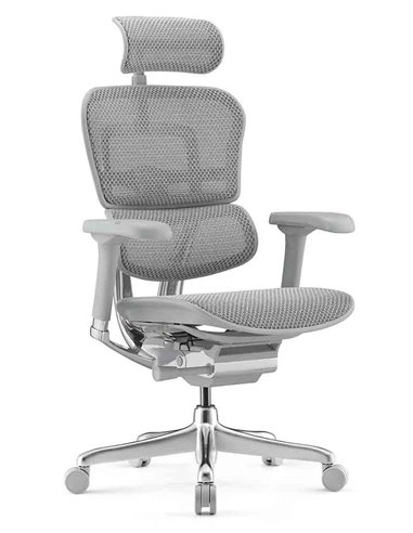 Кресло ERGOHUMAN ELITE 2 (EHE2-AG-HAM-5D-L, сетка T-168-B2 Natural), ергономичное