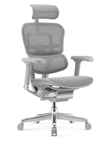 Кресло ERGOHUMAN ELITE 2 (EHE2-AG-HAM-5D-L, сетка T-168-B2 Natural), ергономичное