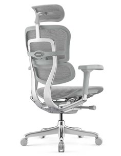 Кресло ERGOHUMAN ELITE 2 (EHE2-AG-HAM-5D-L, сетка T-168-B2 Natural), ергономичное 2